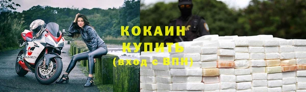 трава Балахна