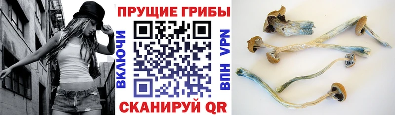 Галлюциногенные грибы Cubensis  OMG ссылки  darknet состав  Кумертау 